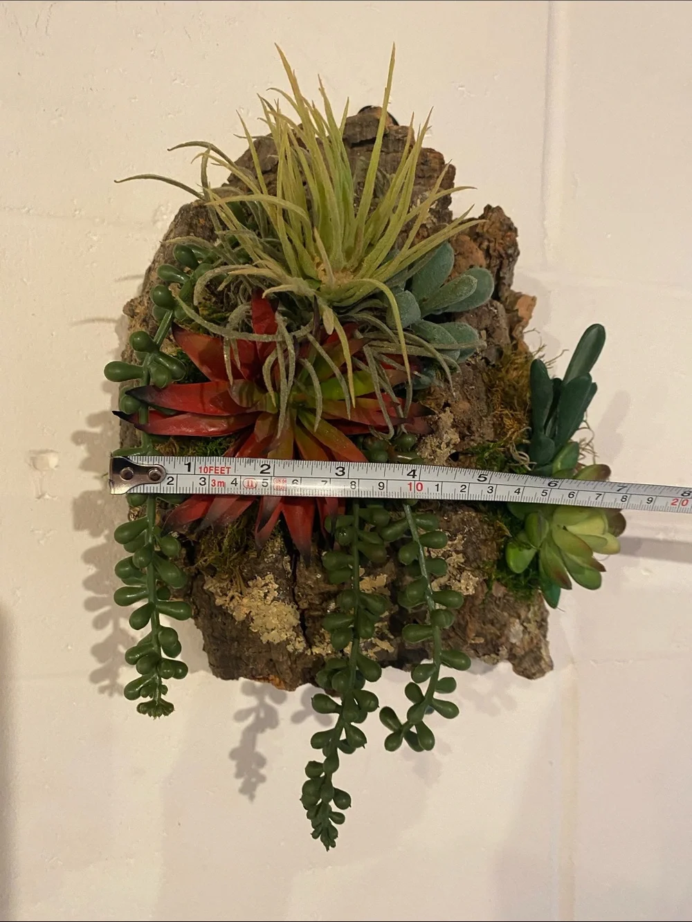 Faux succulent wall decor on Australian cork Handmade